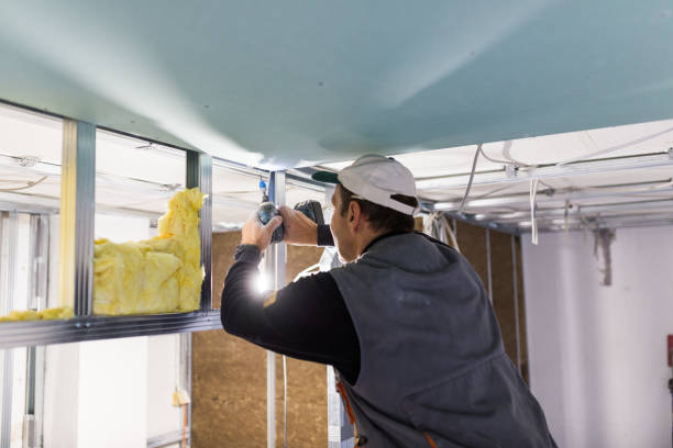 Best Cellulose Insulation in West Union, IA